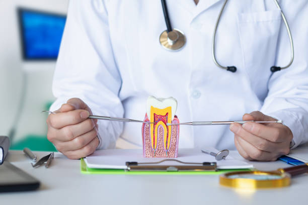 Best Weekend Emergency Dentist in Seven Points, TX
